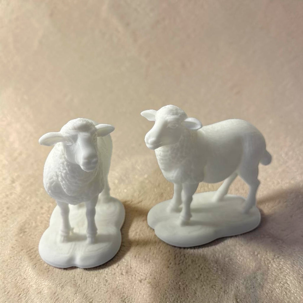 Classic Sheep